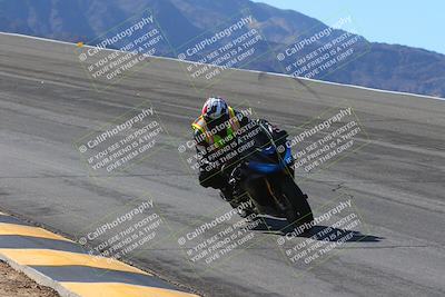 media/Feb-04-2024-SoCal Trackdays (Sun) [[91d6515b1d]]/1-Bowl (950am)/